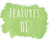 Features01